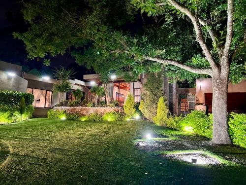 a yard with a tree and lights in front of a house at Sandton Dream Pointe in Johannesburg