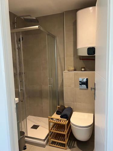 une petite salle de bain avec douche et toilettes dans l'établissement Tylkostudio - Le Corner, à Montpellier