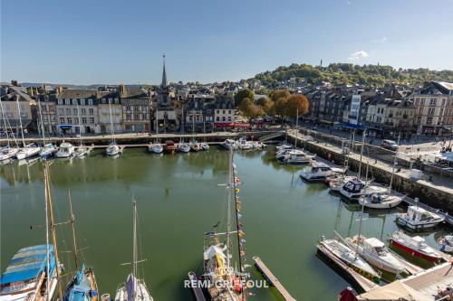 un groupe de bateaux amarrés dans un port dans l'établissement Dolphin view - studio - Cozy nest with a view of the port, à Honfleur