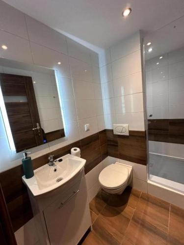 a bathroom with a toilet and a sink at Apartament Golebia Plus in Poznań