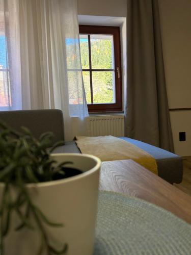 a potted plant sitting on a table next to a window at Penzion Aurelia Donovaly in Donovaly