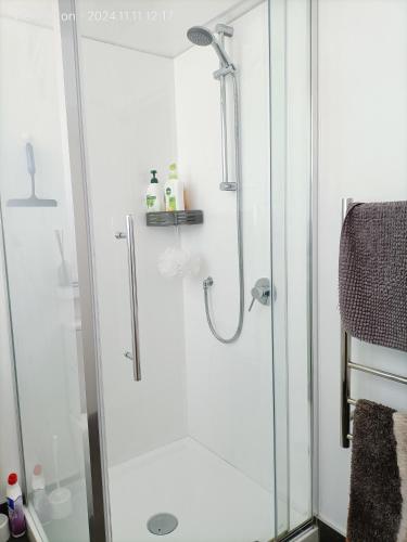 a shower with a glass door in a bathroom at Comfy & Sunny home in Wellington--3 Heat Pumps in Wellington