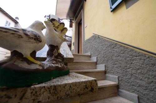 Gambar di galeri bagi Pagliari12 di Ronciglione