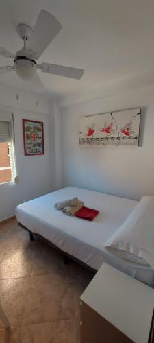 Piso Paloma 1