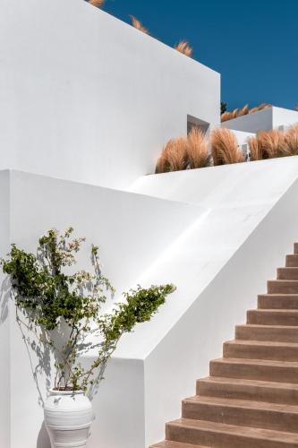 a white staircase with a vase of plants on it at Andronis Arcadia Hotel in Oia