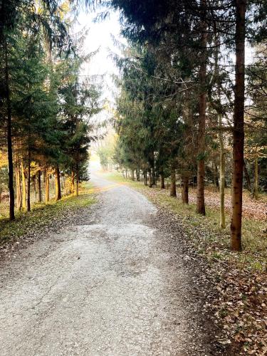 a dirt road with trees on either side at Neue und sonnige Doppelhaushälfte in Dobl bei Graz Top 2 in Dobl