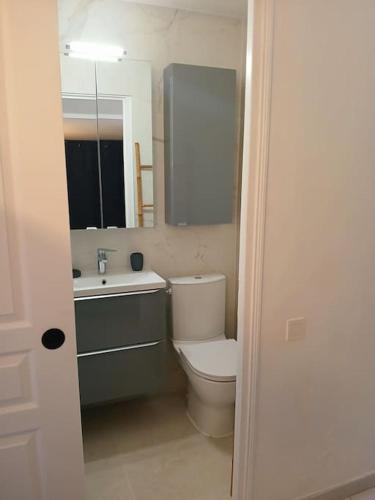 une salle de bain avec toilettes, lavabo et miroir dans l'établissement Vaste bas de villa Le Belvédère, à Draguignan