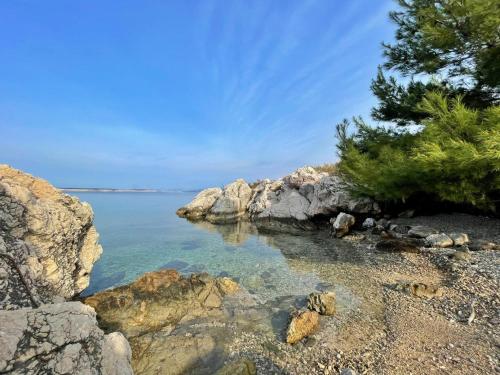 a rocky shore with trees and the water at Apartments Neptun in Šilo