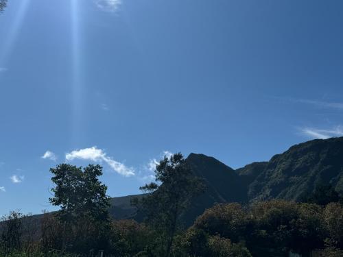 a view of the mountains with trees in the foreground at Le studio Léva in La Plaine des Palmistes