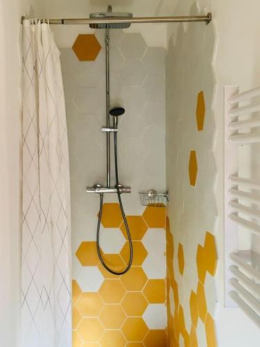 une salle de bain avec une douche avec un rideau de douche dans l'établissement Maison avec cour L'atelier, à Couchey