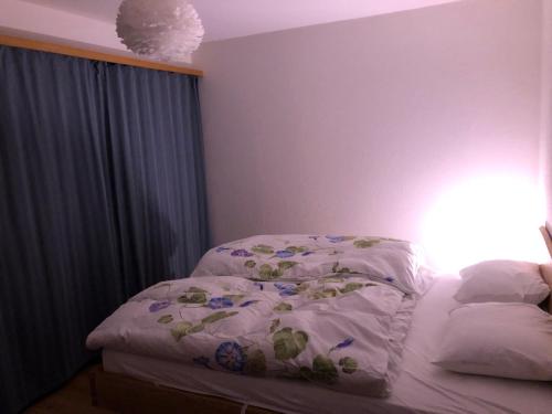a bedroom with a bed with a comforter on it at Ferienwohnung Kleiner Moor in Bivio
