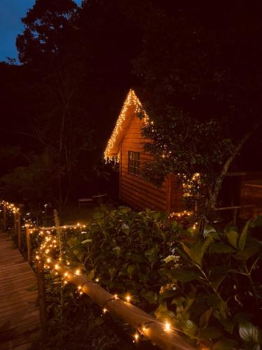 a garden with christmas lights in front of a cabin at Chalé Cerejeira - Chalet Village in Campos do Jordão