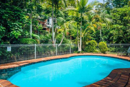 a swimming pool with a fence and palm trees at Bella Vista Bellingen in Bellingen
