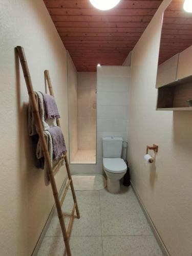 La salle de bains est pourvue de toilettes et d'un sèche-serviettes. dans l'établissement Au Piémont des Vosges, à Gertwiller