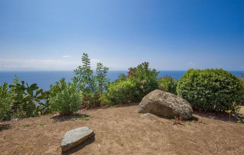a large rock and some bushes and the ocean at 1 Bedroom Cozy Home In Joppolo in Ioppolo