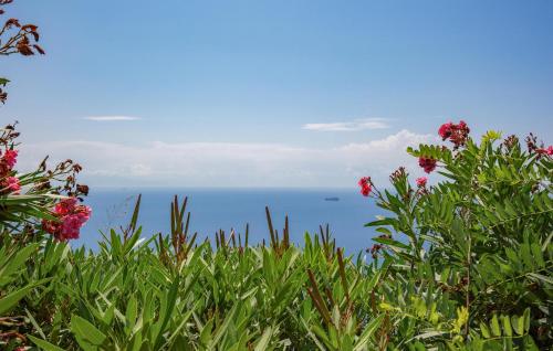 a view of the ocean from behind some flowers at 1 Bedroom Cozy Home In Joppolo in Ioppolo