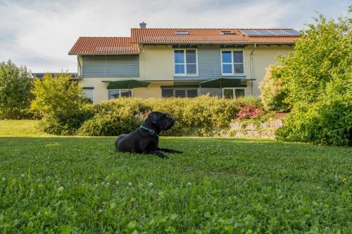 a black dog sitting in the grass in front of a house at Ferienhaus Beim Viechdoktor in Crailsheim