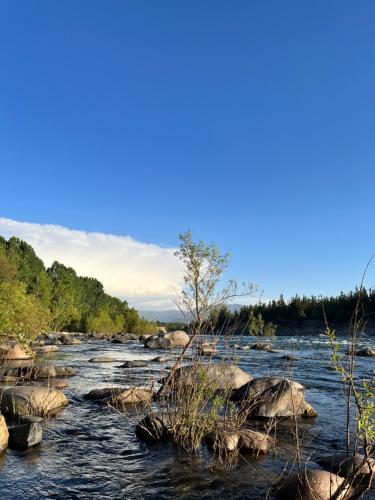 a river with rocks and a tree in the middle at Raíces del Ñuble in San Fabián de Alico