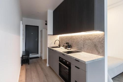 a kitchen with a sink and a counter top at Hook Studios Vilnius Old Town in Vilnius