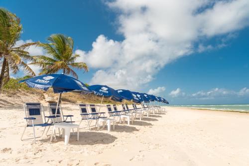a row of chairs and umbrellas on a beach at Transamerica Dunas de Marapé in Jequia da Praia