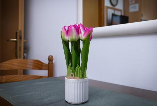 Room with terace Miranda