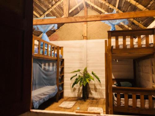 Cette chambre comprend deux lits superposés et une plante en pot. dans l'établissement Linu Homestay, à Hiriketiya