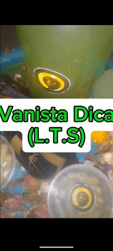 a picture of some frisbees with the words vennel disc lt at Vanista Dica- Dancing Bamboo in Isle