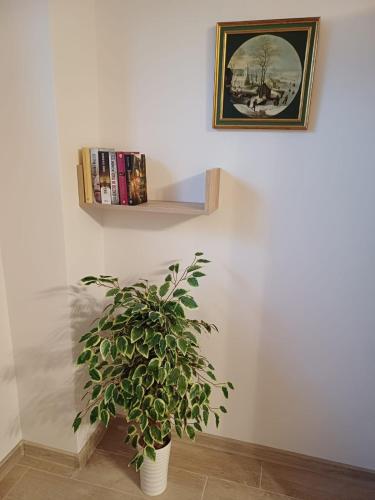 a plant in a white vase next to a wall at Cichotnia in Sorkwity