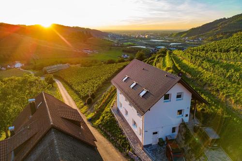 an aerial view of a house in a vineyard at Paradieshof in Lautenbach