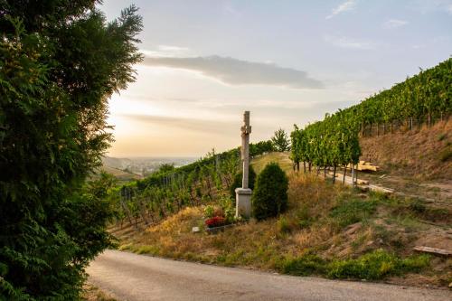 a road in a vineyard with a cross on a hill at Paradieshof in Lautenbach