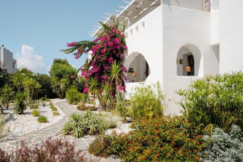 Κήπος έξω από το Albion, Cosy Two Storey Apartment, Stelida Naxos