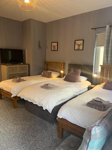 a bedroom with two twin beds and a television at Glenlochy Apartments in Fort William