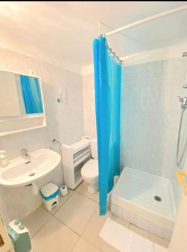 une salle de bain avec un rideau de douche bleu et des toilettes dans l'établissement Studio au coeur de Toulon - proche du port, à Toulon