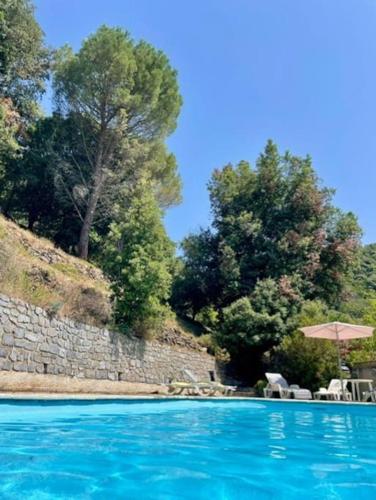 - une piscine avec des chaises, un parasol et des arbres dans l'établissement Maison calme en pleine nature jusqu'à 10 personnes, à Cabrespine
