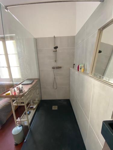 La petite salle de bains est pourvue d'une douche et d'un lavabo. dans l'établissement Pretty house in the heart of Avignon, à Avignon