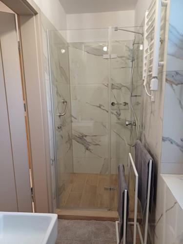 a shower with a glass door in a bathroom at Cichotnia in Sorkwity