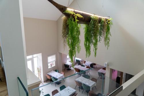 a room with a tree branch hanging from the ceiling at Chez Agnès in Auzéville-en-Argonne