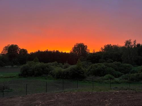 a sunset over a field with trees and a fence at Cichotnia in Sorkwity