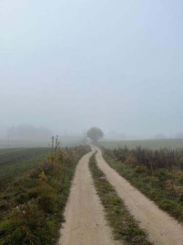 a dirt road in the middle of a field at Cichotnia in Sorkwity