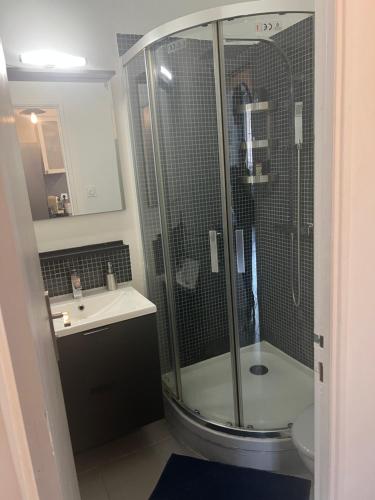 une salle de bain avec douche et lavabo dans l'établissement Charmant T2 climatisé a 5 min de là gare st-charles - vieux port, à Marseille