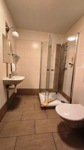 a bathroom with a shower and a toilet and a sink at Dvůr Perlová voda in Budyně nad Ohří