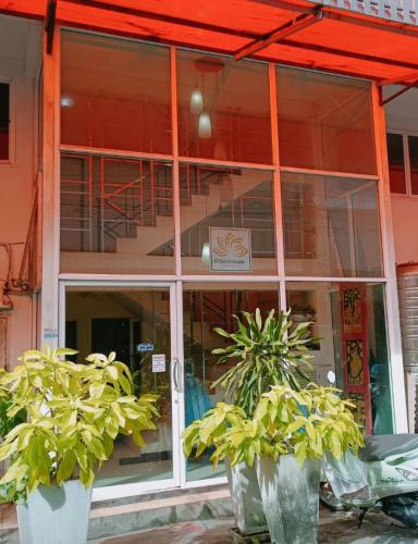 two potted plants in front of a building at SERISIAM Apartments in Hat Yai
