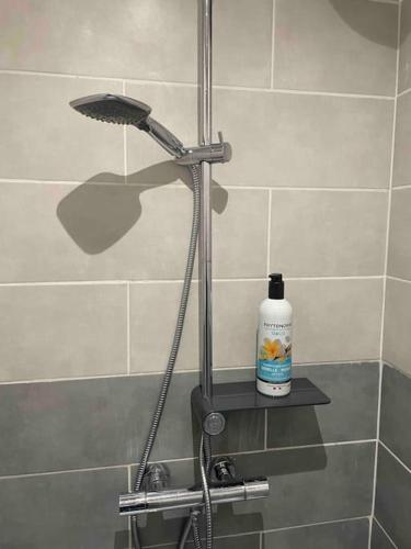 une douche avec une bouteille de savon sur une étagère dans l'établissement Maisonnette des Douves Plein Centre 1 à 4 voyageurs, à Malestroit