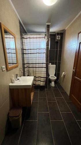 a bathroom with a sink and a toilet at Bozsity Vendégház in Üllés