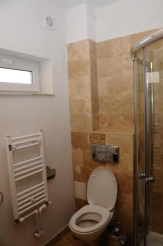 a bathroom with a toilet and a glass shower at Vila Cube in Eforie Nord