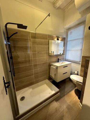 une salle de bain avec une douche, des toilettes et un lavabo dans l'établissement Suite Schwendi - Le petit tanneur - en Hypercentre, à Colmar