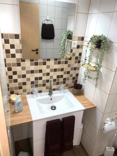 Koupelna v ubytování B&C Apartment