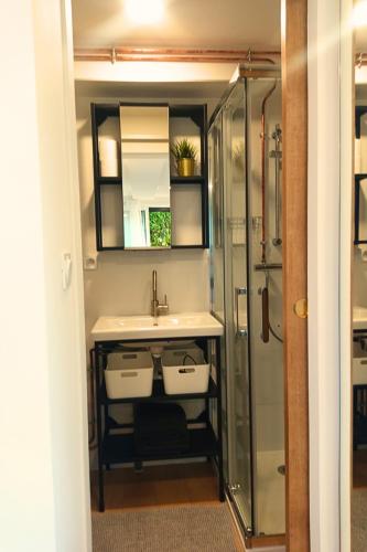 une salle de bain avec un lavabo et une douche dans l'établissement La Promenade des 2 Pins - Chic, à Poisat