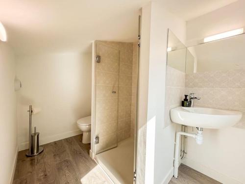 une salle de bain avec un lavabo, une douche et des toilettes dans l'établissement Duplex refait à neuf au cœur de Sanary, à Sanary-sur-Mer