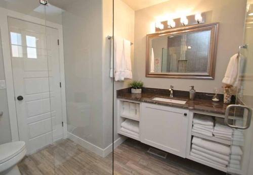a bathroom with a toilet and a sink and a mirror at Tiny Home #6 in Orderville